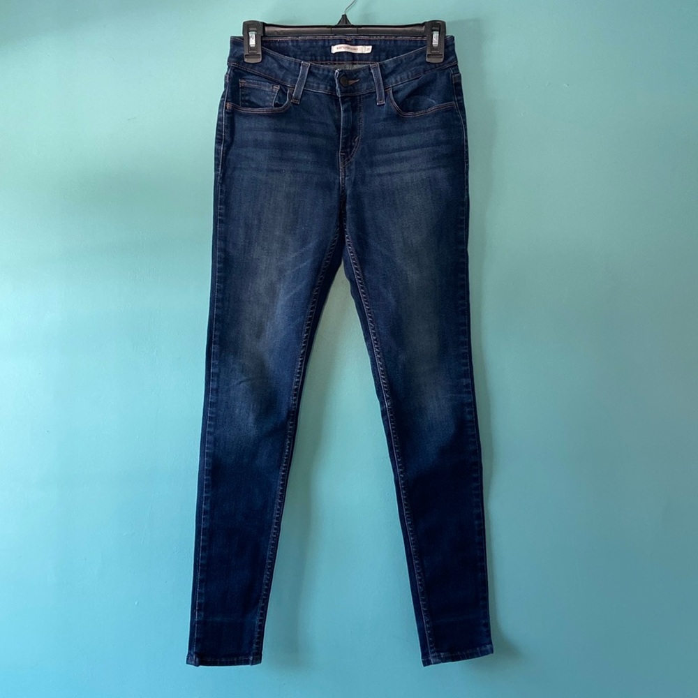 Size 28 Levi Strauss Jeggings